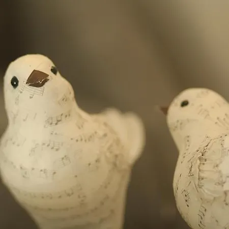 La Chiave Bianca * Miglianico