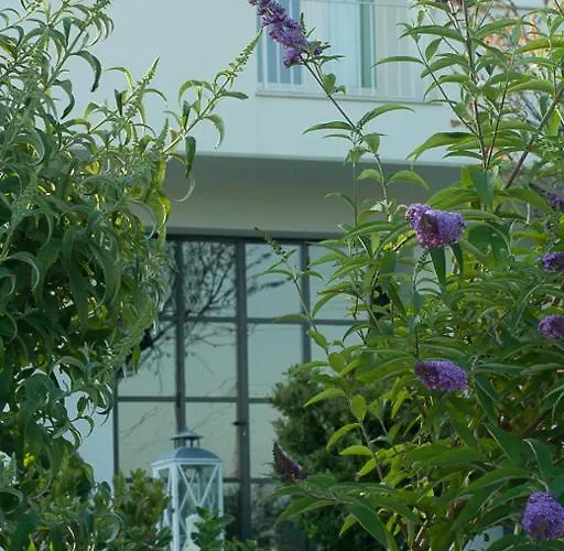 乡村民宿 拉彻伍比安卡乡村民宿 *